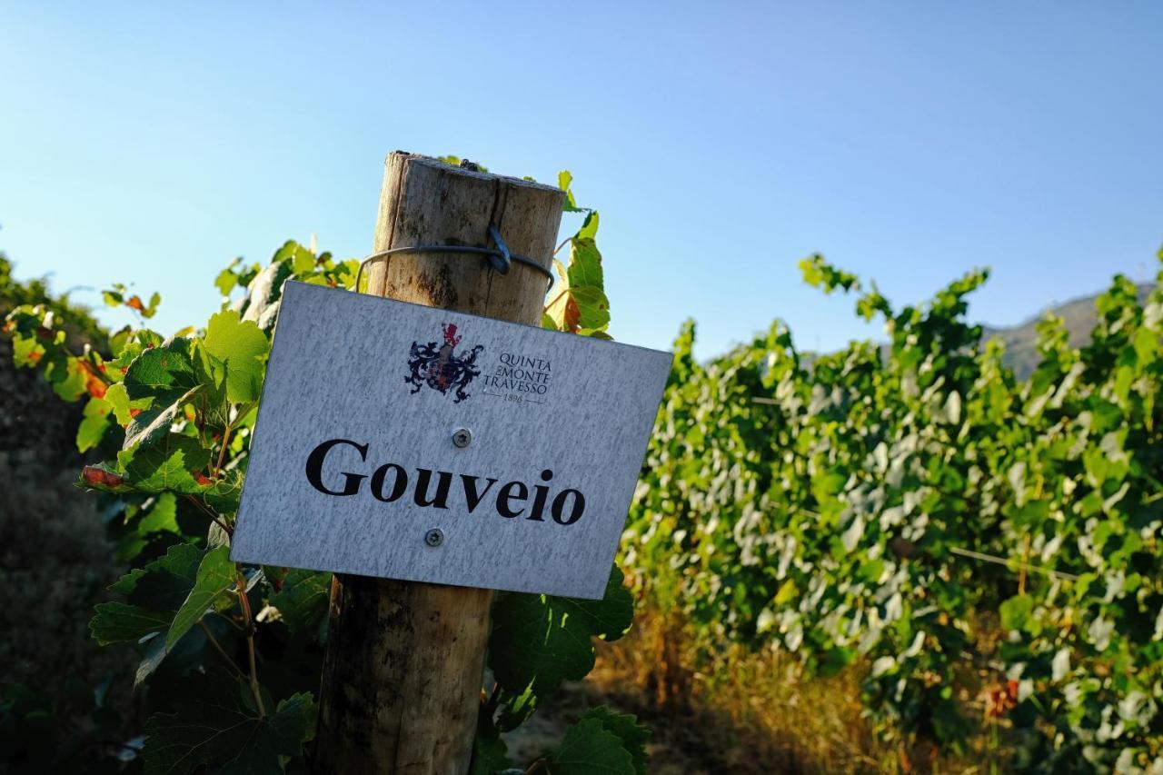 Quinta Do Monte Travesso - Country Houses & Winery Tabuaço Zewnętrze zdjęcie