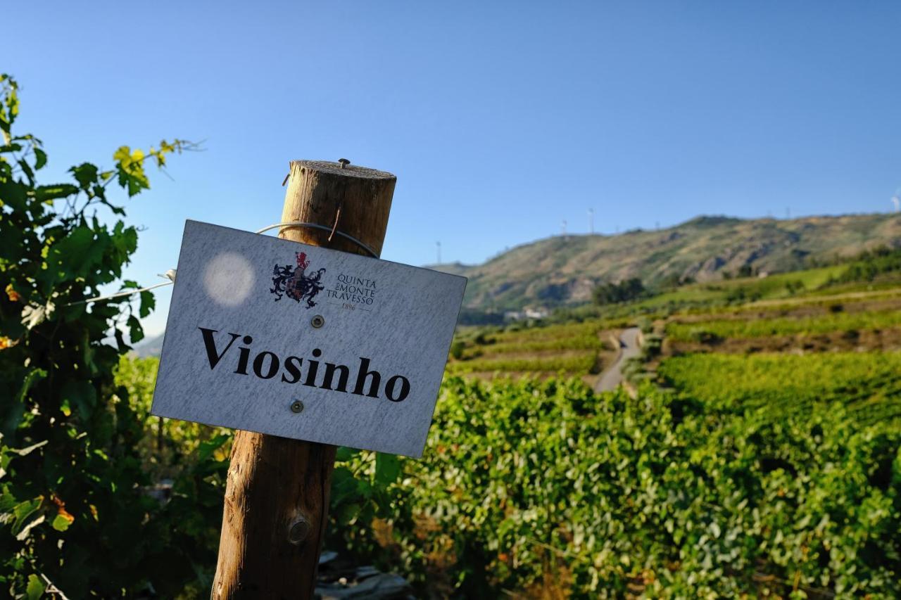 Quinta Do Monte Travesso - Country Houses & Winery Tabuaço Zewnętrze zdjęcie