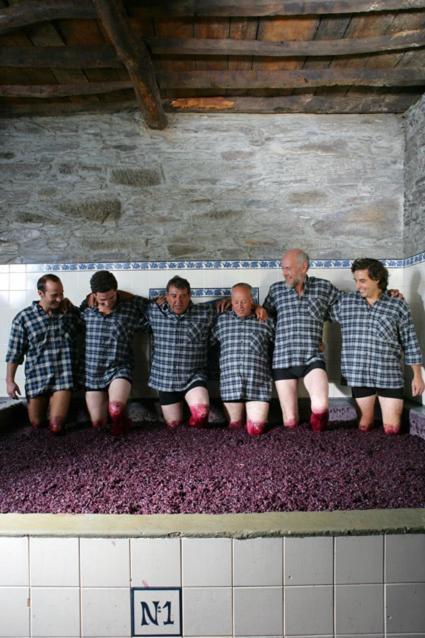 Quinta Do Monte Travesso - Country Houses & Winery Tabuaço Zewnętrze zdjęcie